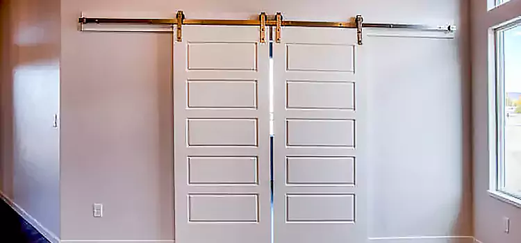 Glass Barn Door with Installation Hardware Kit Verdun