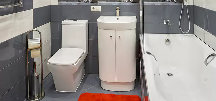 Hansgrohe Shaving Mirror Verdun